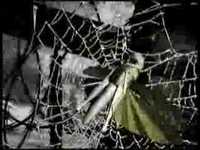 pochette album Live from the russian compound