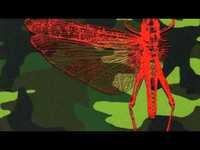 pochette album Well i'll be a monkey's uncle