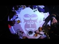 pochette album Mémoire de singes