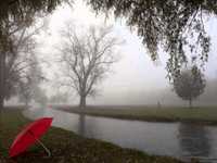 pochette album Te olvid?