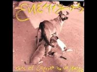 pochette album Sin hueso