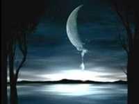 pochette album Amor bonito