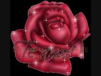 pochette album Yo te amo