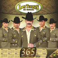 pochette album Rehabilitado