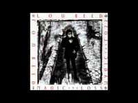 pochette album Sword of damocles