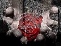 pochette album Dites lui que je l'aime