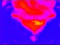 pochette album Last breath