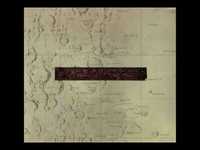 pochette album Sunflower