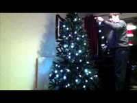 pochette album Taking down the tree