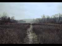 pochette album Walk you out