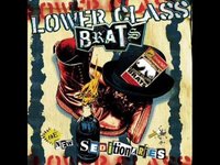 pochette album Who writes your rules (for rebellion)