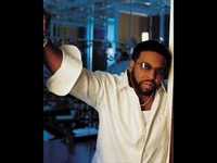 pochette album Shake down