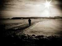 pochette album Too late