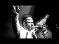 pochette album Músico