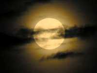 pochette album El gorrión