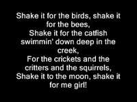 pochette album Country girl