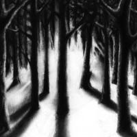 pochette album Augen aus nichts