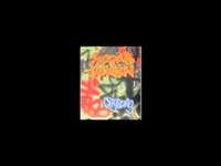 pochette album Radiating