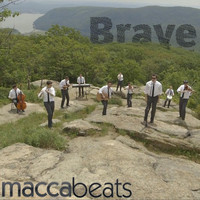 pochette album Brave