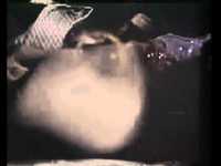 pochette album Ride the back of an angry pig