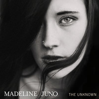 pochette album The unknown