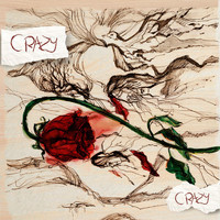 pochette album Crazy, crazy