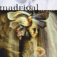 pochette album Same face