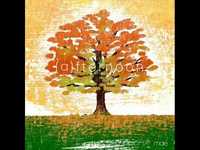 pochette album Afternoon in eden