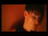 pochette album Fly away