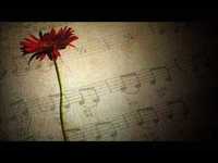 pochette album This love