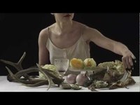 pochette album Follow me