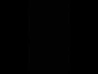 pochette album Sapes comme jamais