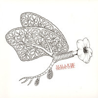 pochette album Montreal -40c