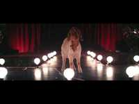 pochette album Sittin pretty