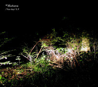 pochette album English garden