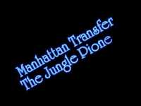 pochette album The jungle pioneer