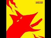 pochette album Ca scintille