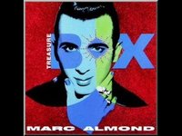 pochette album Exotica rose