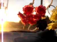 pochette album Child star