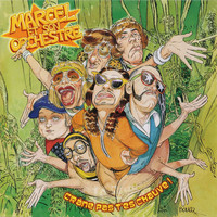 pochette album Arrête ton crin-crin