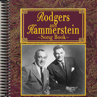 pochette album Wonderful guy