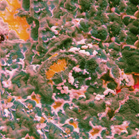 pochette album Itchy teeth