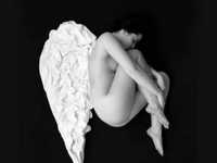 pochette album Whatever is wrong with you?