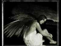 pochette album Get me out of here