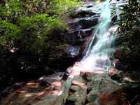 pochette album Ticket to heaven