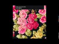 pochette album Leviathan