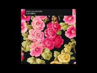 pochette album Tiny grain of truth