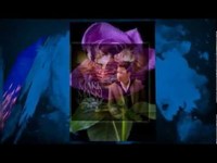 pochette album Erev shel shoshanim