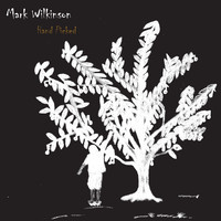 pochette album Middle ground