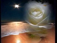 pochette album You didn't kiss me